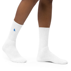 Antonio Crowe Embroidered socks